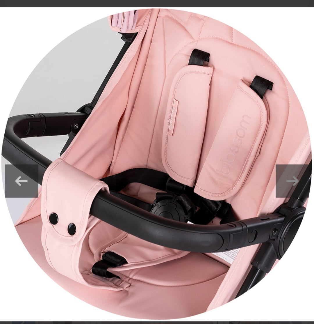 Passeggino blossom chipolino 5.5kg