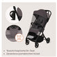 Lionelo tansis beige