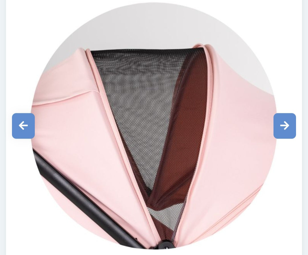 Passeggino blossom chipolino 5.5kg